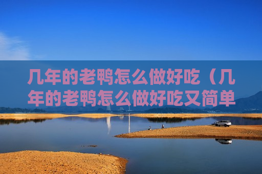 几年的老鸭怎么做好吃（几年的老鸭怎么做好吃又简单）