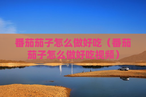 番茄茄子怎么做好吃（番茄茄子怎么做好吃视频）
