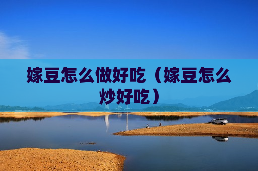 嫁豆怎么做好吃（嫁豆怎么炒好吃）