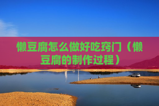 懒豆腐怎么做好吃窍门（懒豆腐的制作过程）