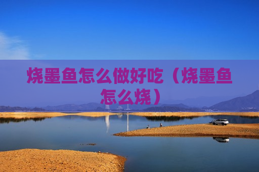 烧墨鱼怎么做好吃（烧墨鱼怎么烧）