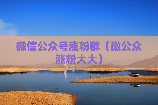 微信公众号涨粉群（微公众涨粉大大）