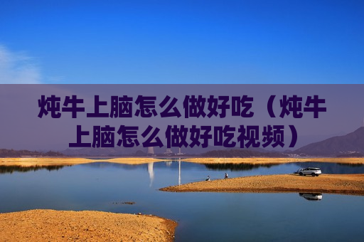 炖牛上脑怎么做好吃（炖牛上脑怎么做好吃视频）