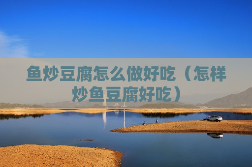 鱼炒豆腐怎么做好吃（怎样炒鱼豆腐好吃）