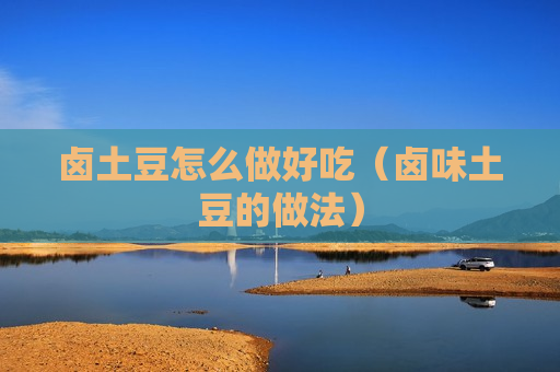 卤土豆怎么做好吃（卤味土豆的做法）
