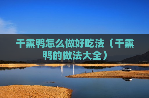 干熏鸭怎么做好吃法（干熏鸭的做法大全）