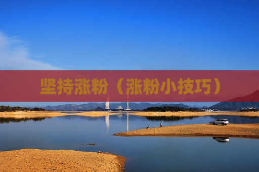 坚持涨粉（涨粉小技巧）