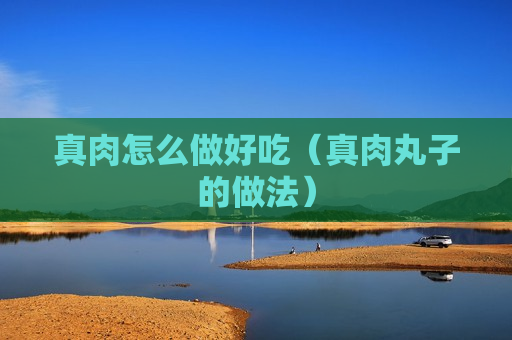 真肉怎么做好吃（真肉丸子的做法）