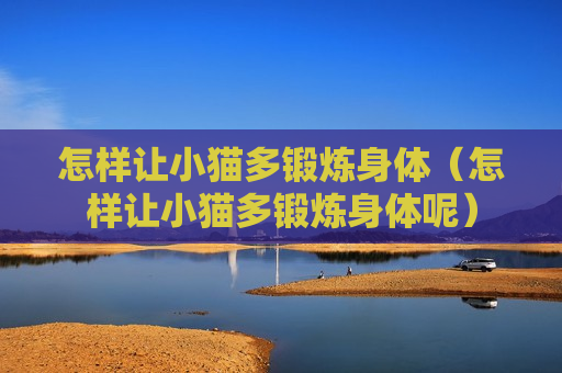 怎样让小猫多锻炼身体（怎样让小猫多锻炼身体呢）