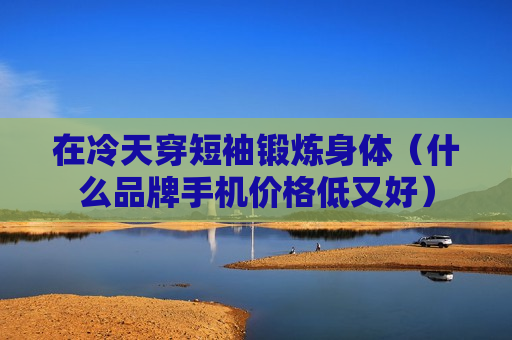 在冷天穿短袖锻炼身体（什么品牌手机价格低又好）