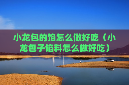 小龙包的馅怎么做好吃（小龙包子馅料怎么做好吃）