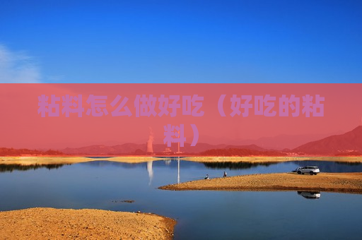 粘料怎么做好吃（好吃的粘料）