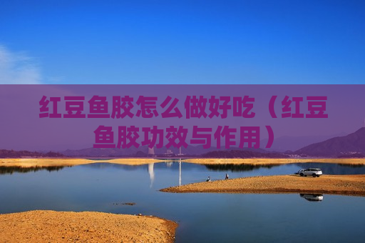 红豆鱼胶怎么做好吃（红豆鱼胶功效与作用）