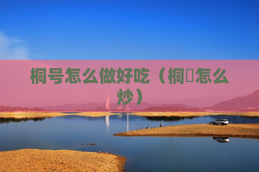 桐号怎么做好吃（桐暠怎么炒）