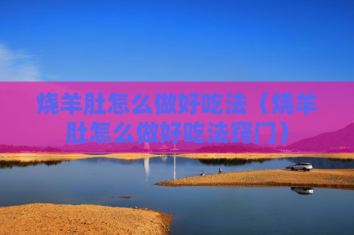 烧羊肚怎么做好吃法（烧羊肚怎么做好吃法窍门）