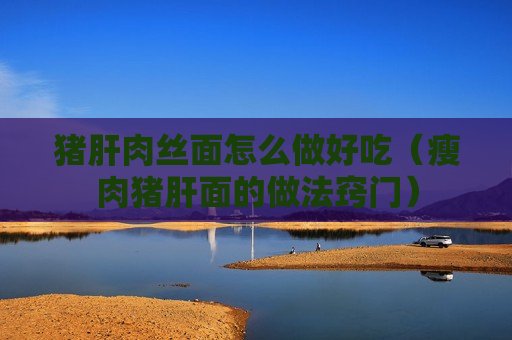 猪肝肉丝面怎么做好吃（瘦肉猪肝面的做法窍门）