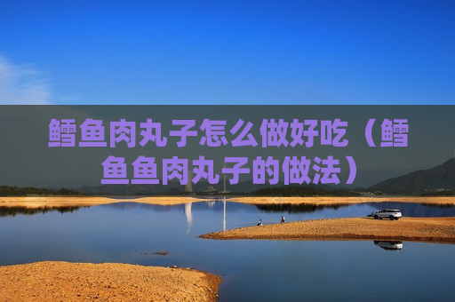 鳕鱼肉丸子怎么做好吃（鳕鱼鱼肉丸子的做法）