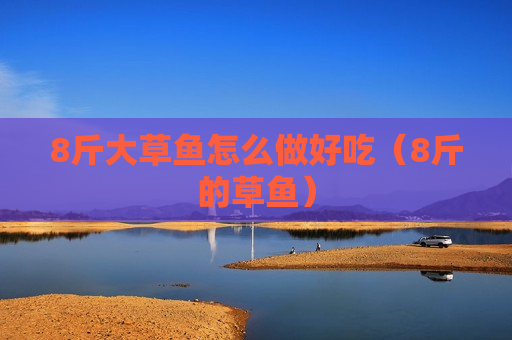 8斤大草鱼怎么做好吃（8斤的草鱼）
