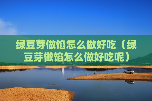 绿豆芽做馅怎么做好吃（绿豆芽做馅怎么做好吃呢）