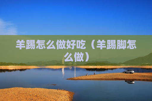 羊踢怎么做好吃（羊踢脚怎么做）