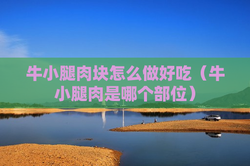 牛小腿肉块怎么做好吃（牛小腿肉是哪个部位）