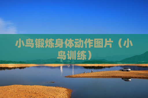 小鸟锻炼身体动作图片（小鸟训练）