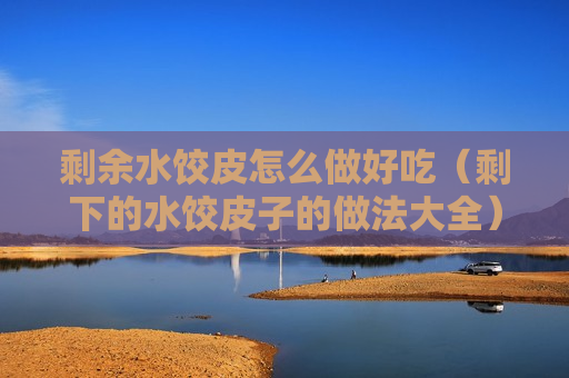 剩余水饺皮怎么做好吃（剩下的水饺皮子的做法大全）