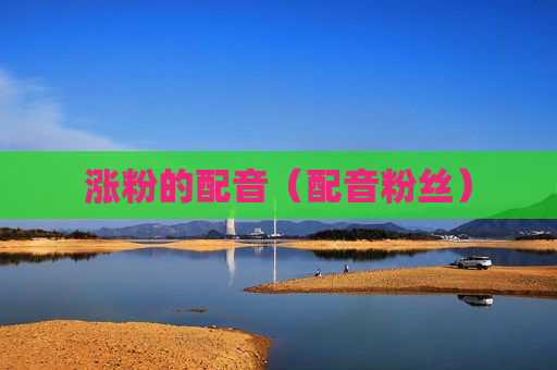 涨粉的配音（配音粉丝）