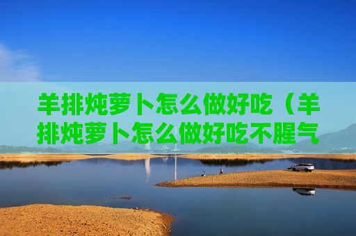 羊排炖萝卜怎么做好吃（羊排炖萝卜怎么做好吃不腥气）