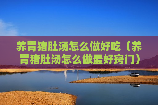 养胃猪肚汤怎么做好吃（养胃猪肚汤怎么做最好窍门）
