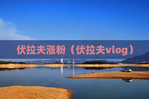 伏拉夫涨粉（伏拉夫vlog）