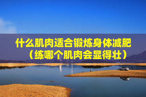 什么肌肉适合锻炼身体减肥（练哪个肌肉会显得壮）