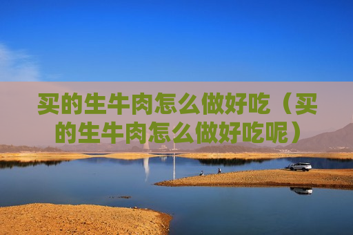 买的生牛肉怎么做好吃（买的生牛肉怎么做好吃呢）