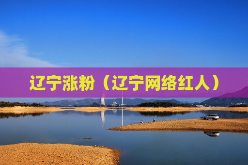 辽宁涨粉（辽宁网络红人）