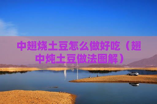 中翅烧土豆怎么做好吃（翅中炖土豆做法图解）