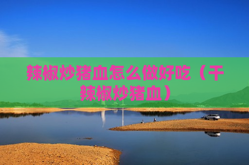 辣椒炒猪血怎么做好吃（干辣椒炒猪血）