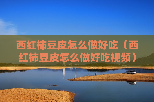 西红柿豆皮怎么做好吃（西红柿豆皮怎么做好吃视频）