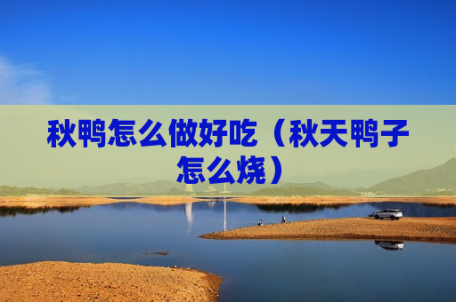 秋鸭怎么做好吃（秋天鸭子怎么烧）