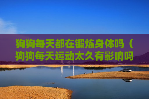 狗狗每天都在锻炼身体吗（狗狗每天运动太久有影响吗）