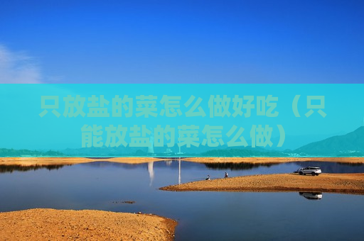 只放盐的菜怎么做好吃（只能放盐的菜怎么做）