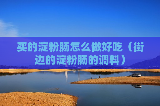 买的淀粉肠怎么做好吃（街边的淀粉肠的调料）
