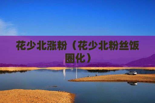 花少北涨粉（花少北粉丝饭圈化）