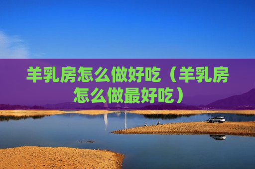 羊乳房怎么做好吃（羊乳房怎么做最好吃）