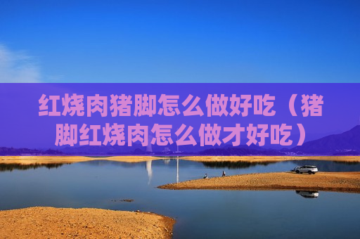红烧肉猪脚怎么做好吃（猪脚红烧肉怎么做才好吃）