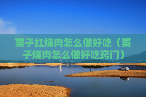粟子红烧肉怎么做好吃（粟子烧肉怎么做好吃窍门）
