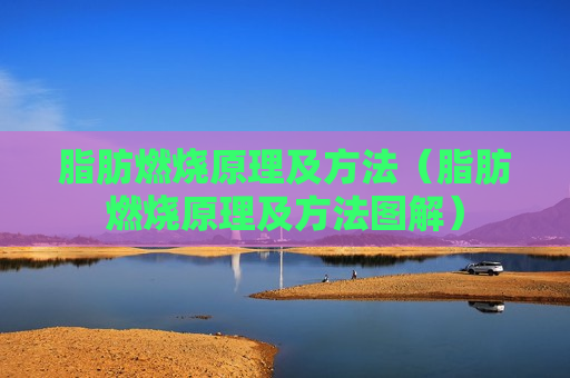 脂肪燃烧原理及方法（脂肪燃烧原理及方法图解）