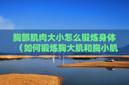 胸部肌肉大小怎么锻炼身体（如何锻炼胸大肌和胸小肌）
