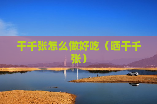 干千张怎么做好吃（晒干千张）