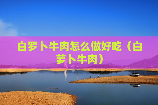 白罗卜牛肉怎么做好吃（白萝卜牛肉）