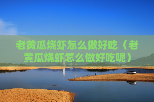 老黄瓜烧虾怎么做好吃（老黄瓜烧虾怎么做好吃呢）